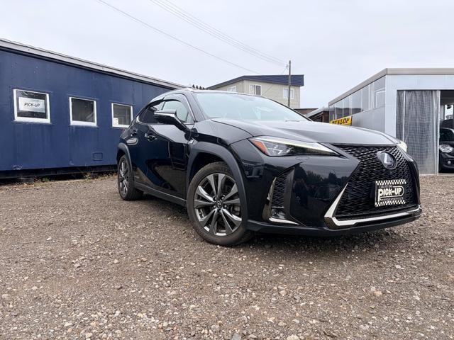 Lexus UX 2019 — фото автомобиля 1