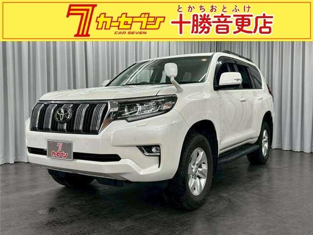 Toyota LAND CRUISER PRADO 2022 — фото автомобиля