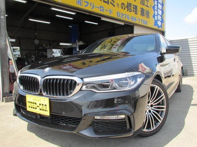 Bmw 5 SERIES 2018 — фото автомобиля 1