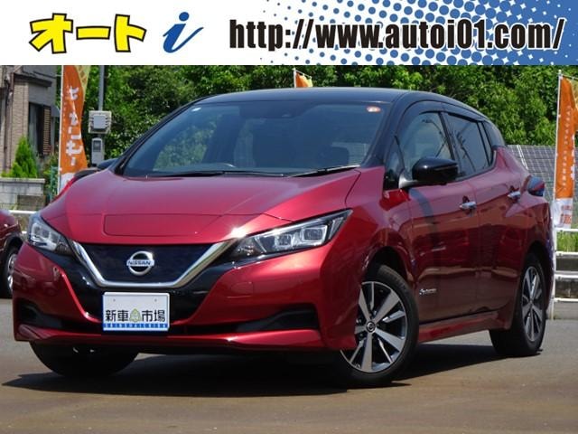 Nissan LEAF 2019 — фото автомобиля 1