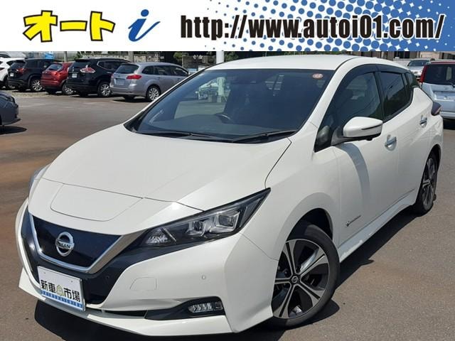 Nissan LEAF 2020 — фото автомобиля 1