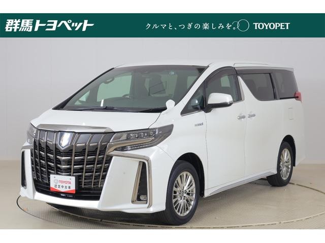 Toyota ALPHARD HYBRID 2021 — фото автомобиля
