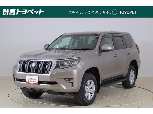 Toyota LAND CRUISER PRADO 2022 — фото автомобиля