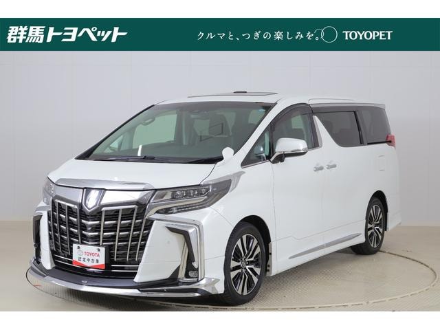 Toyota ALPHARD 2019 — фото автомобиля