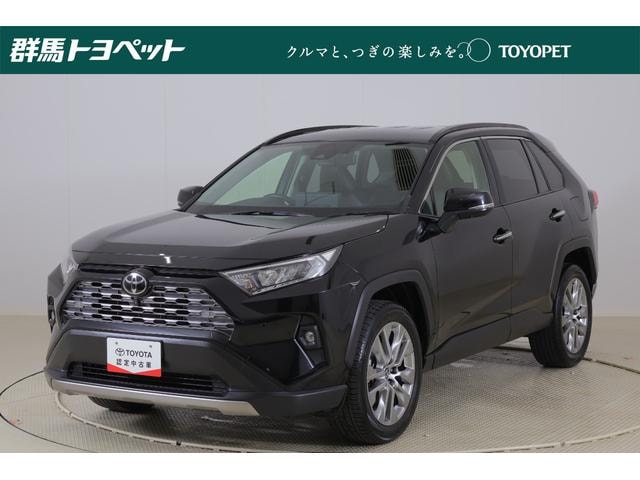 Toyota RAV4 2023 — фото автомобиля 1