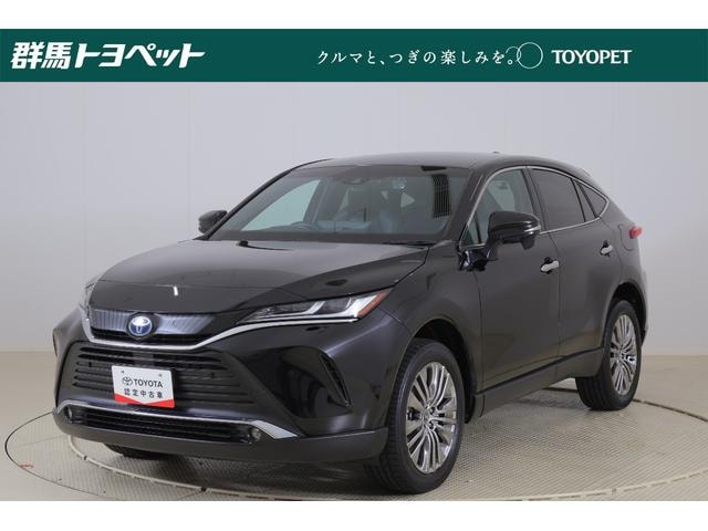 Toyota HARRIER HYBRID 2024 — фото автомобиля