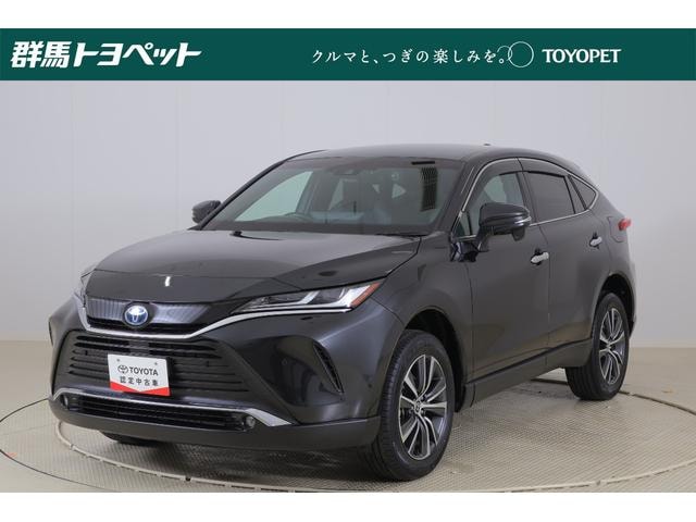 Toyota HARRIER HYBRID 2023 — фото автомобиля
