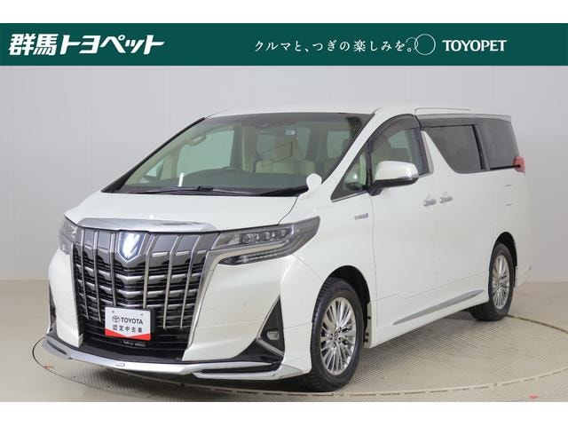 Toyota ALPHARD HYBRID 2021 — фото автомобиля