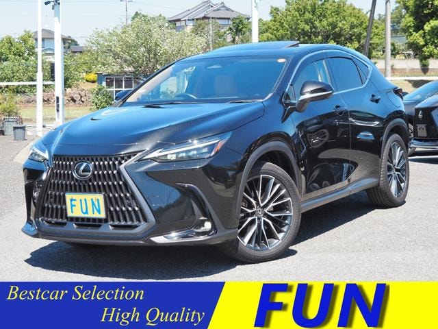 Lexus NX 2023 — фото автомобиля 1