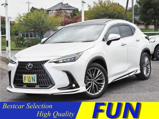 Lexus NX 2023 — фото автомобиля 1