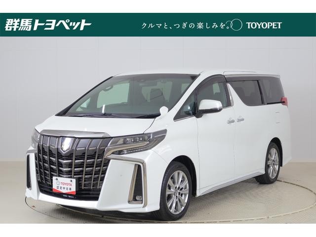 Toyota ALPHARD 2020 — фото автомобиля