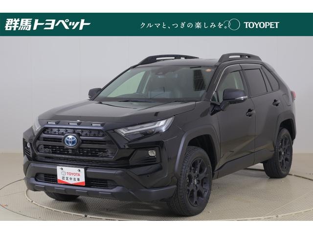 Toyota RAV4 2023 — фото автомобиля