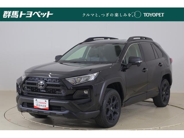 Toyota RAV4 2023 — фото автомобиля