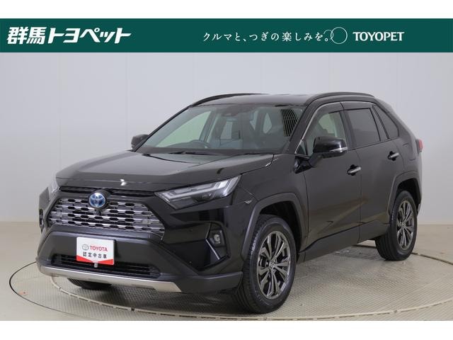 Toyota RAV4 2024 — фото автомобиля 1