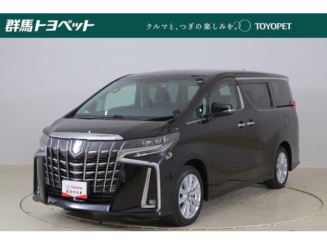 Toyota ALPHARD 2022 — фото автомобиля 1