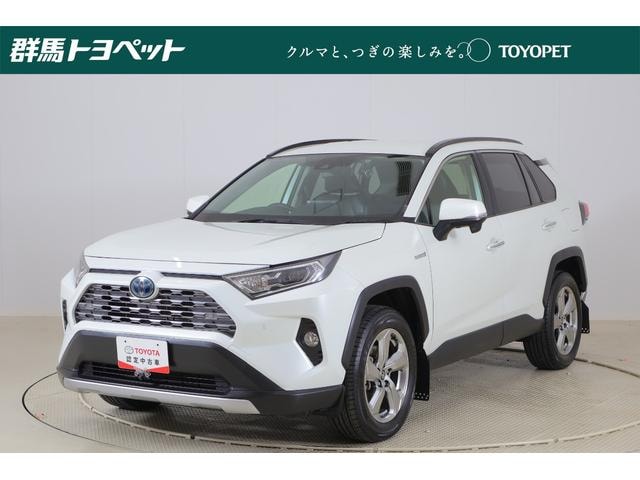 Toyota RAV4 2020 — фото автомобиля 1