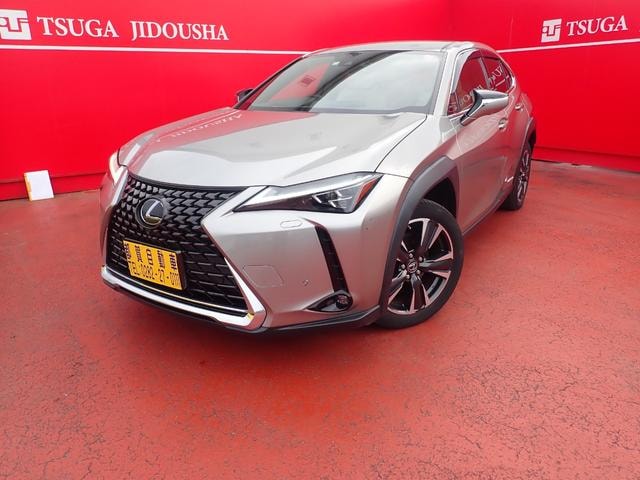 Lexus UX 2019 — фото автомобиля 1