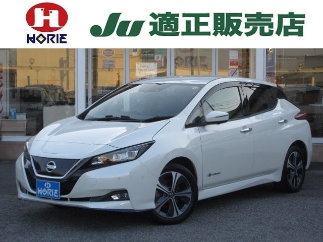 Nissan LEAF 2019 — фото автомобиля 1
