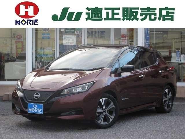Nissan LEAF 2021 — фото автомобиля 1