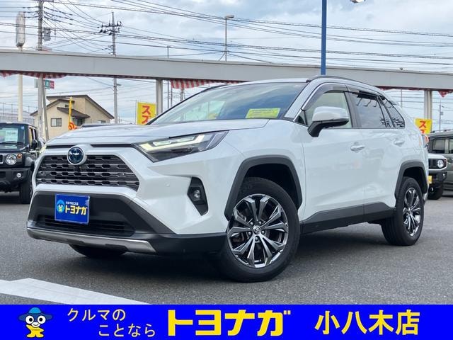 Toyota RAV4 2023 — фото автомобиля 1