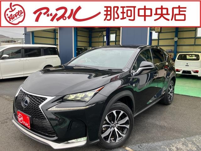Lexus NX 2017 — фото автомобиля 1
