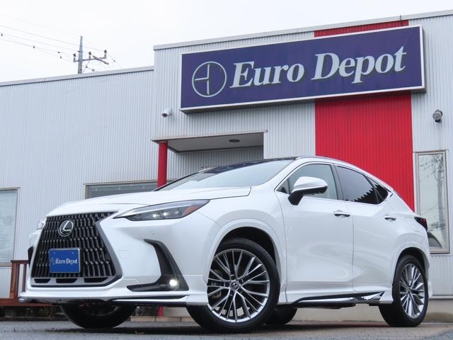 Lexus NX 2023 — фото автомобиля 1