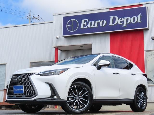 Lexus NX 2025 — фото автомобиля 1