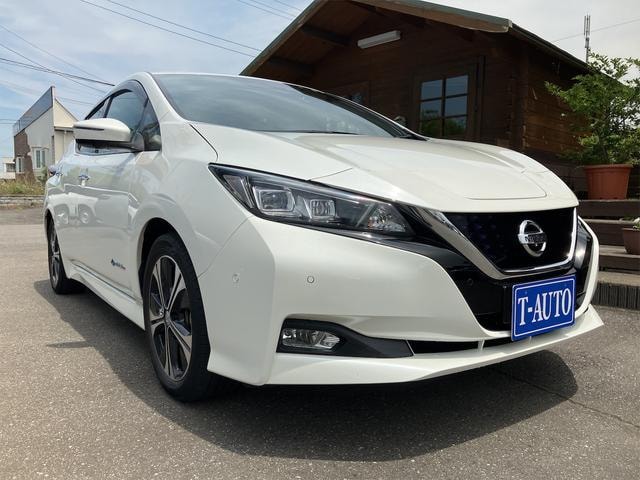 Nissan LEAF 2019 — фото автомобиля 1