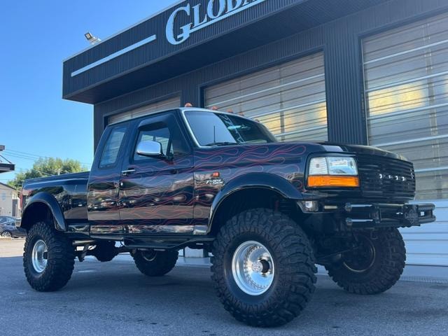 Ford F-150 1993 — фото автомобиля 1