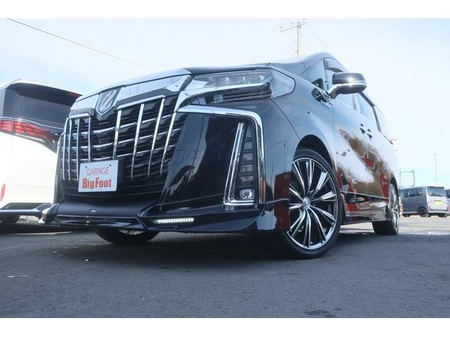 Toyota ALPHARD HYBRID 2018 — фото автомобиля