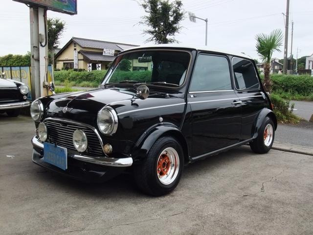 Rover MINI 1992 — фото автомобиля 1