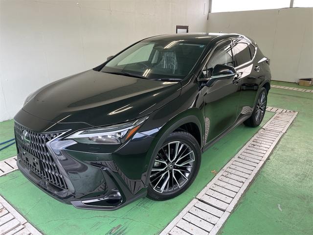 Lexus NX 2022 — фото автомобиля 1