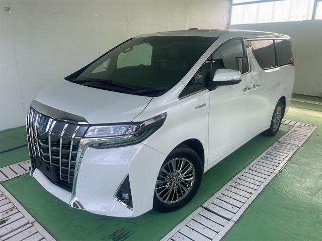 Toyota ALPHARD HYBRID 2020 — фото автомобиля