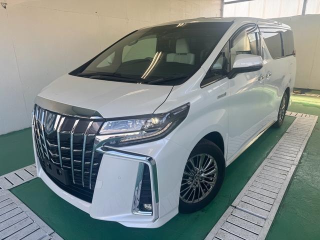 Toyota ALPHARD HYBRID 2019 — фото автомобиля
