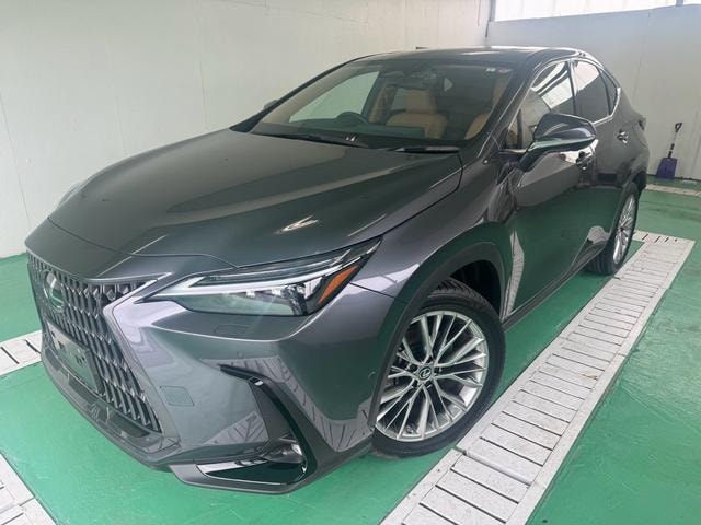 Lexus NX 2023 — фото автомобиля 1
