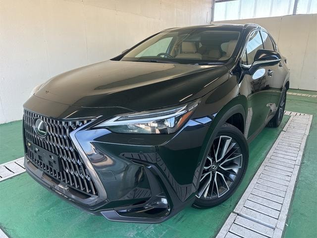 Lexus NX 2023 — фото автомобиля 1