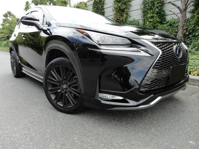 Lexus NX 2014 — фото автомобиля 1