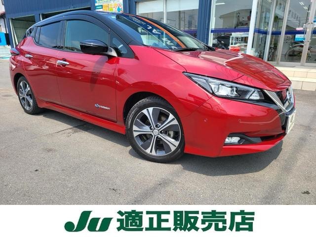 Nissan LEAF 2018 — фото автомобиля 1