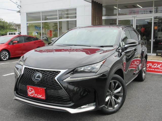 Lexus NX 2015 — фото автомобиля 1