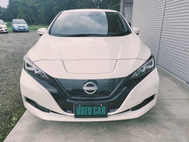 Nissan LEAF 2021 — фото автомобиля 1