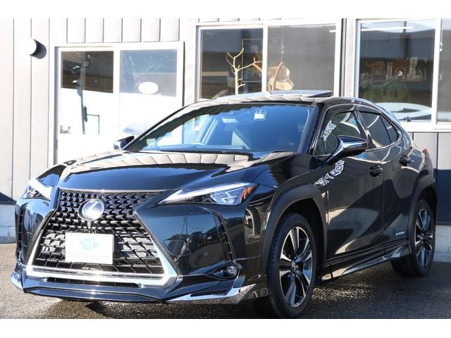 Lexus UX 2021 — фото автомобиля 1