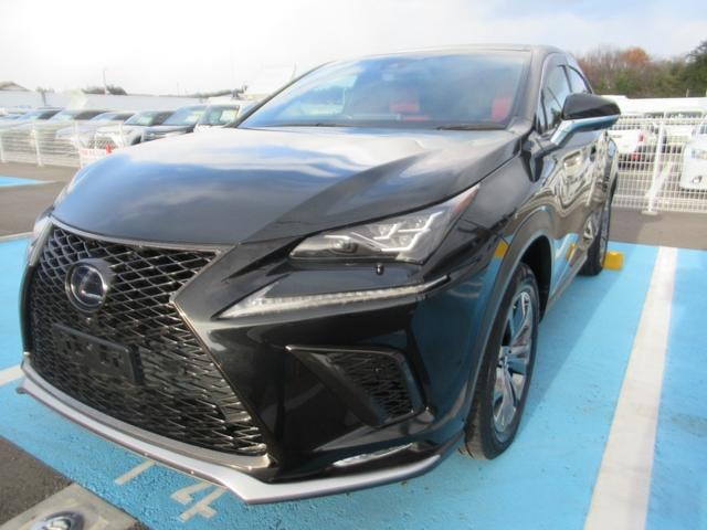 Lexus NX 2019 — фото автомобиля 1