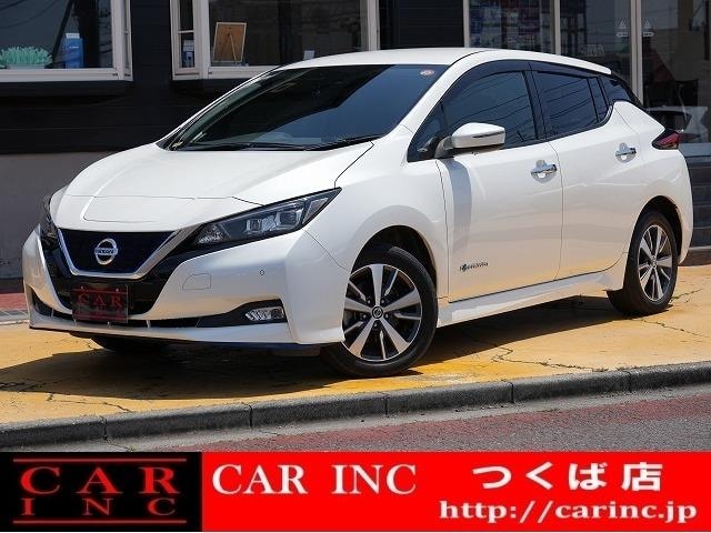 Nissan LEAF 2019 — фото автомобиля 1