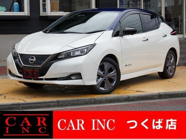 Nissan LEAF 2021 — фото автомобиля 1