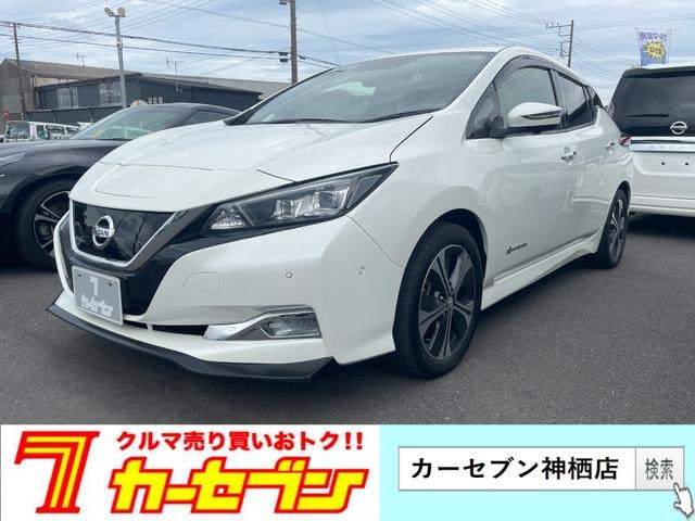 Nissan LEAF 2018 — фото автомобиля 1