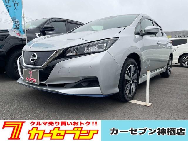 Nissan LEAF 2021 — фото автомобиля 1