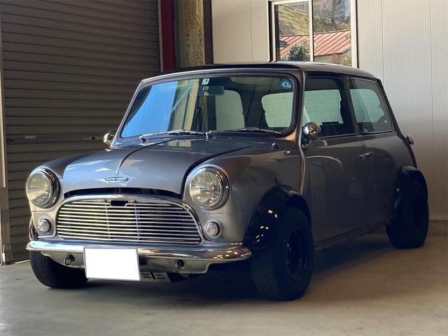 Rover MINI 1993 — фото автомобиля 1