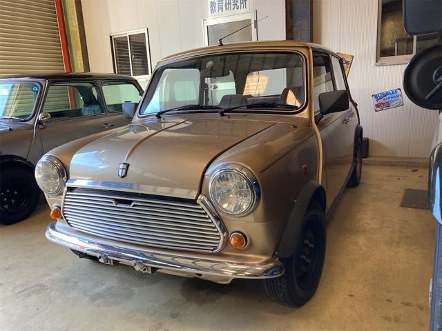 Rover MINI 1987 — фото автомобиля 1