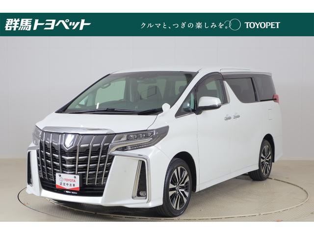 Toyota ALPHARD 2019 — фото автомобиля