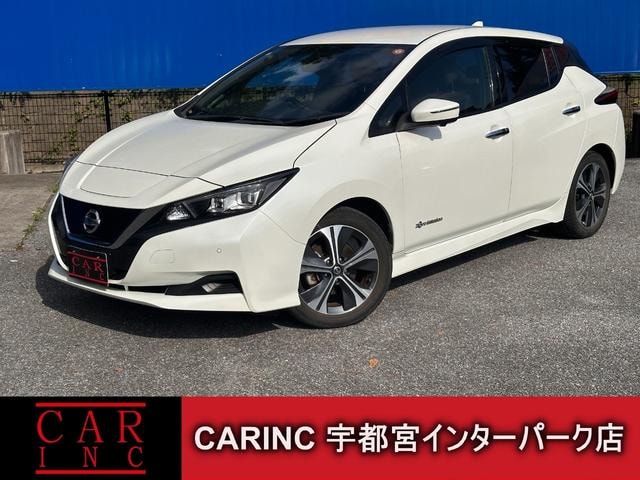 Nissan LEAF 2020 — фото автомобиля 1
